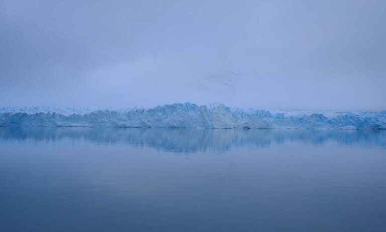 body nutrition twspoonfitness