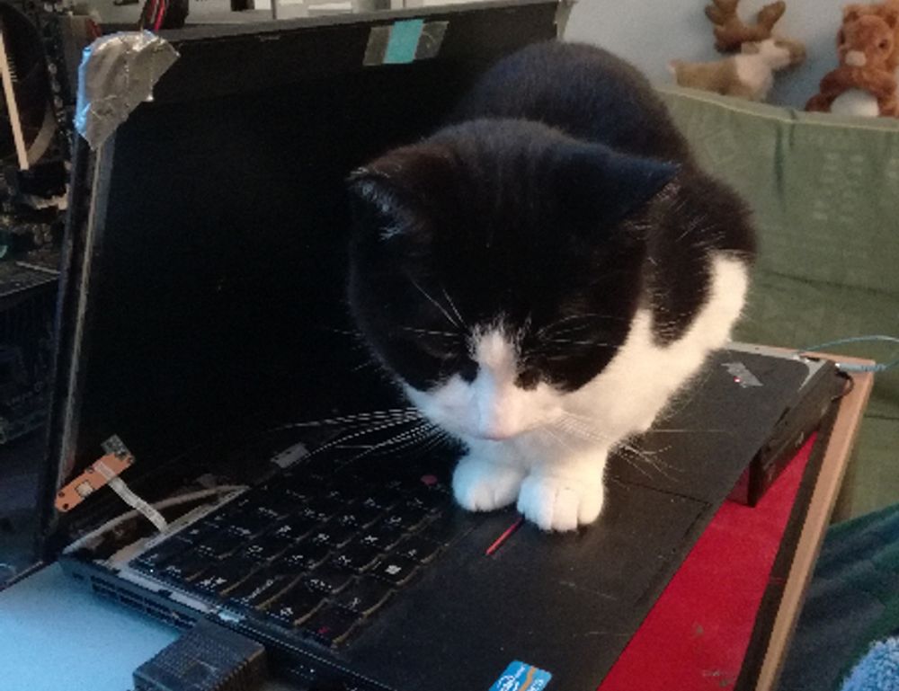 body nutrition twspoonfitness