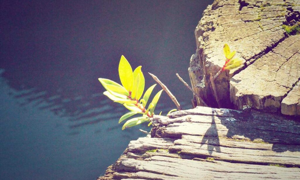 bug munjoff1445 apk fixes