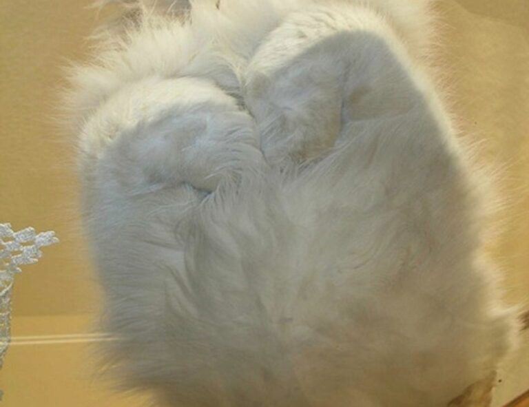 career trends ewmagwork