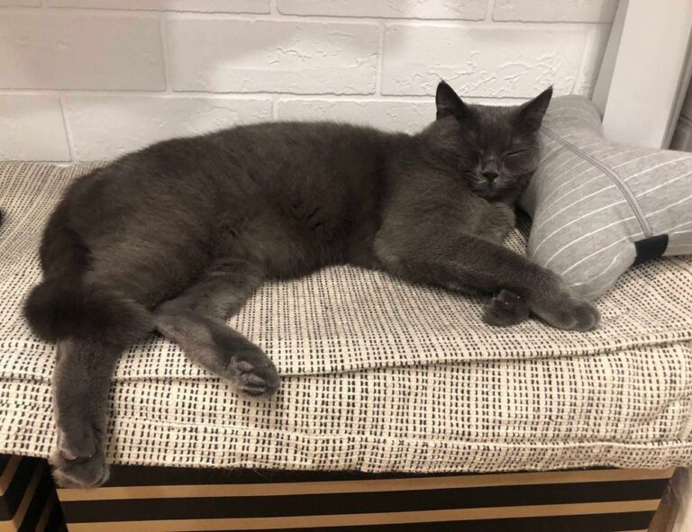 ewmagwork management guide