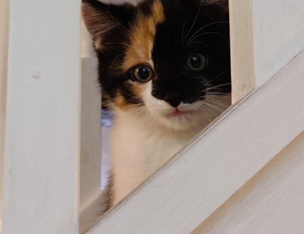 fitness meal hacks tweeklynutrition