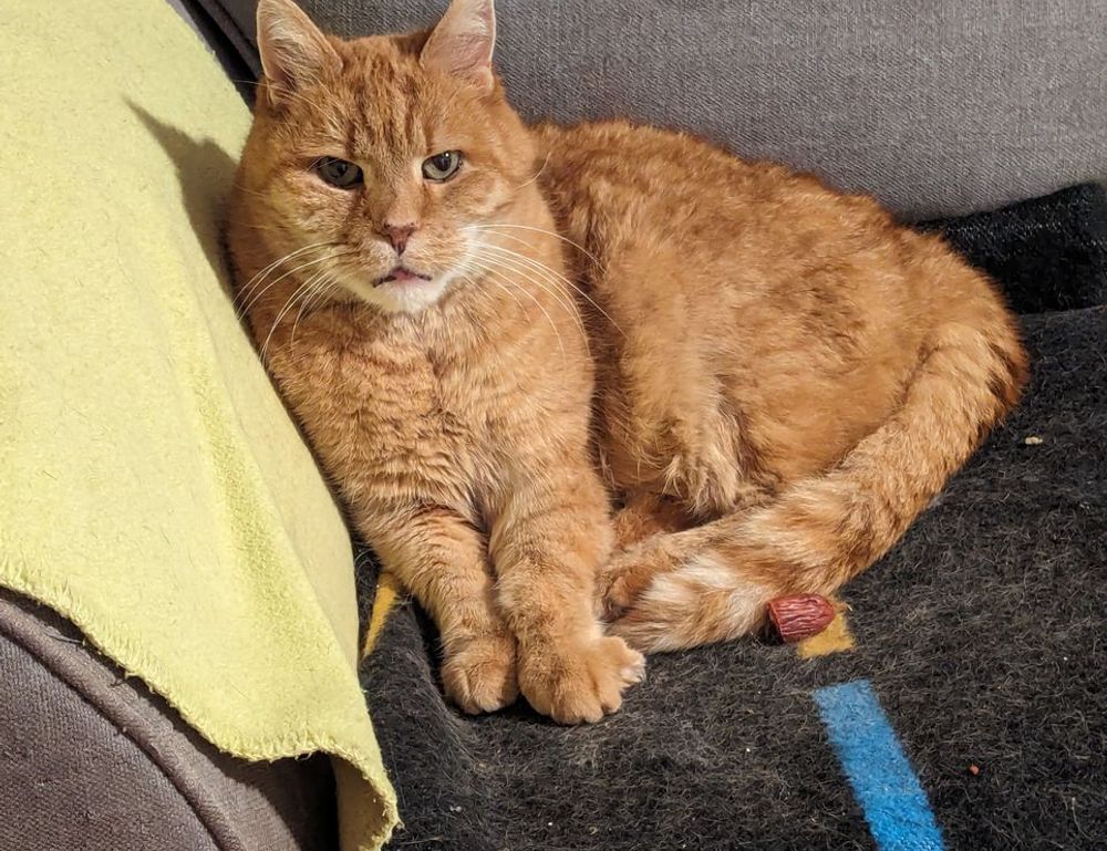 fitness pilates ewmagwork