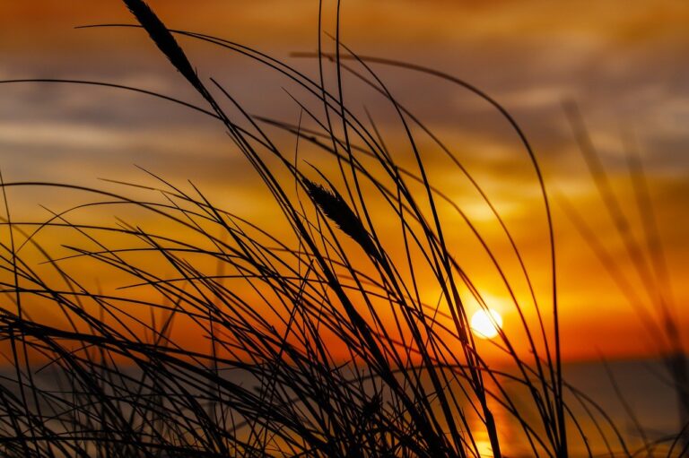 health advice shmghealth