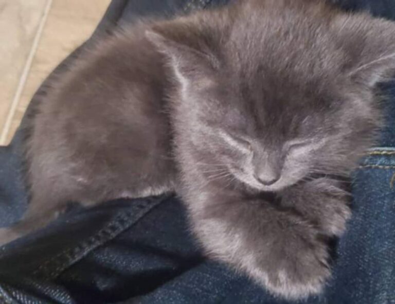 health advisory ontpwellness