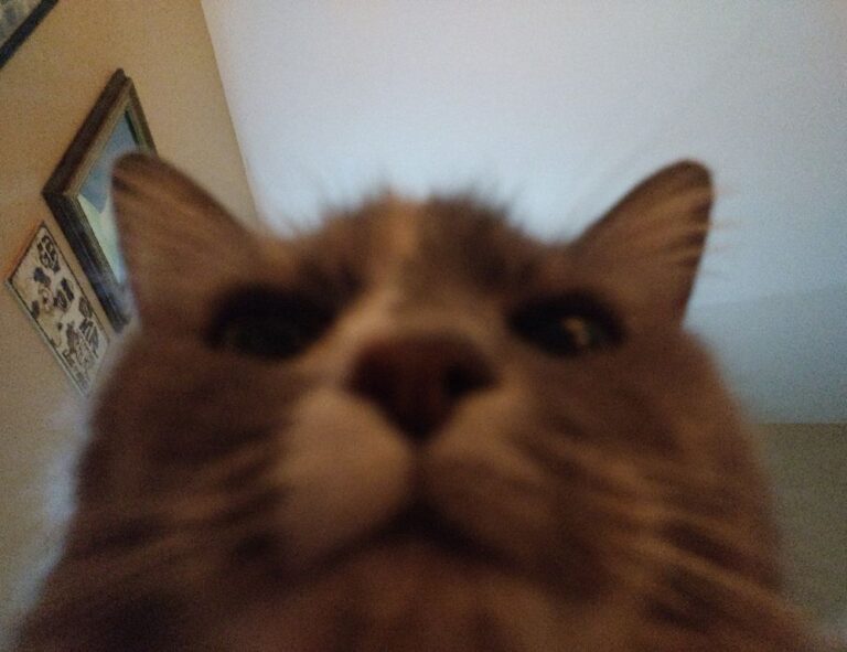 health hacks ontpwellness