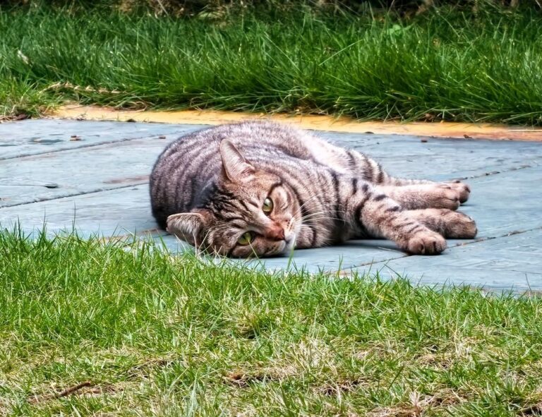 health hacks shmghealth