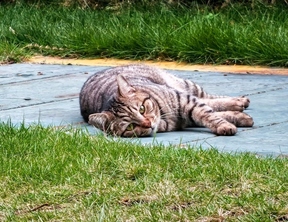 health hacks shmghealth