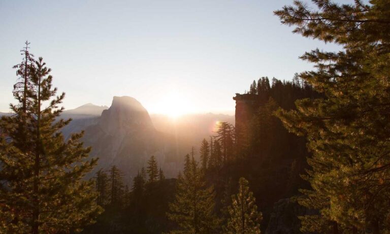 how can shotscribus software be protected