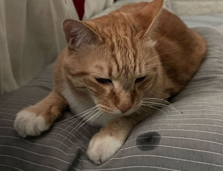 how do you handle a workplace dispute ewmagwork