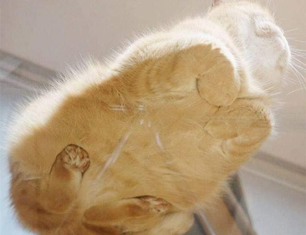 how to do you get tadicurange disease