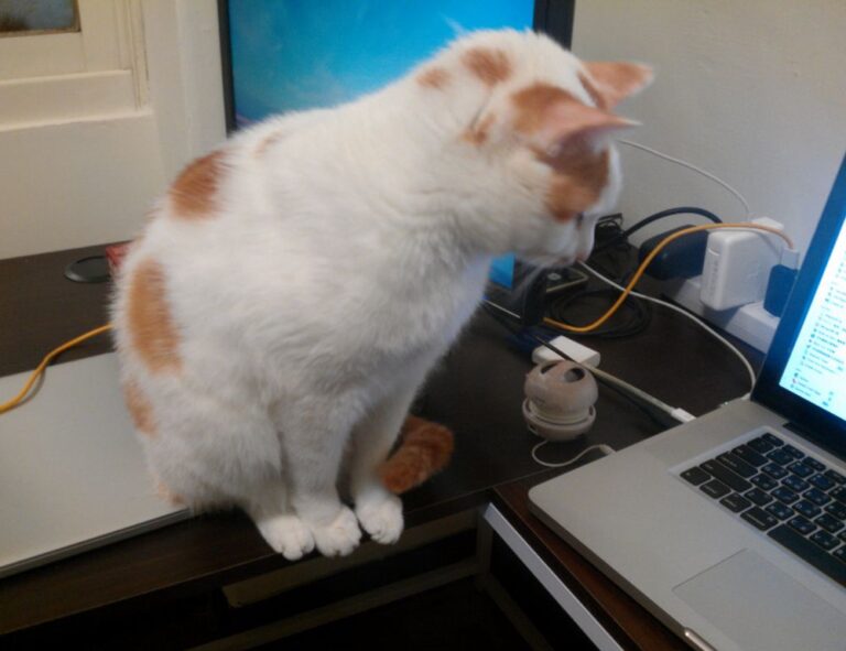 how to fix susbluezilla code