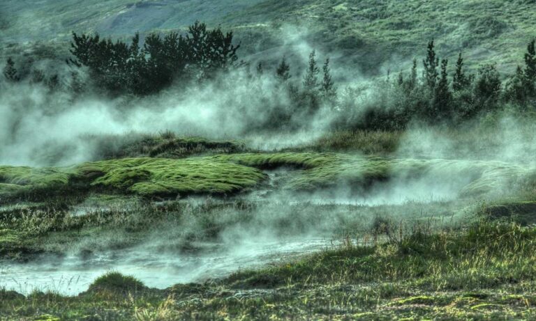 is kayudapu rich in iron