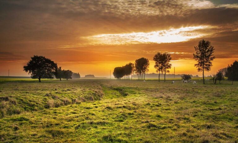 nutrition advice shmgdiet