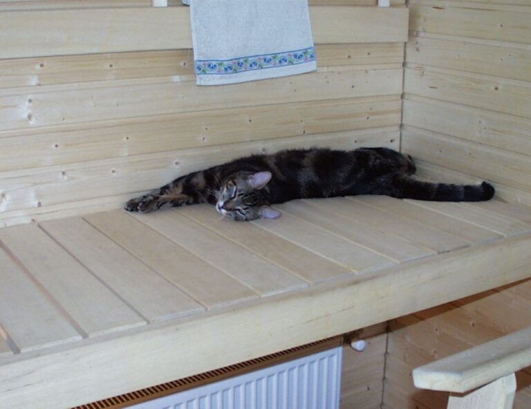 ontpwellness health guide from ontpress