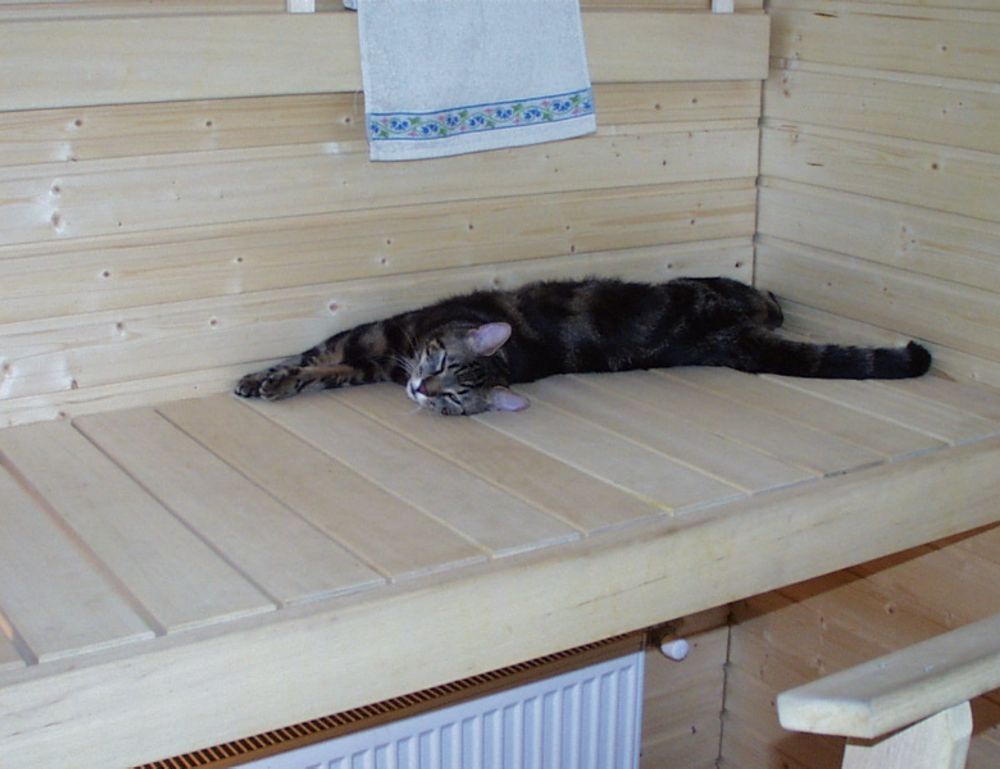 ontpwellness health guide from ontpress