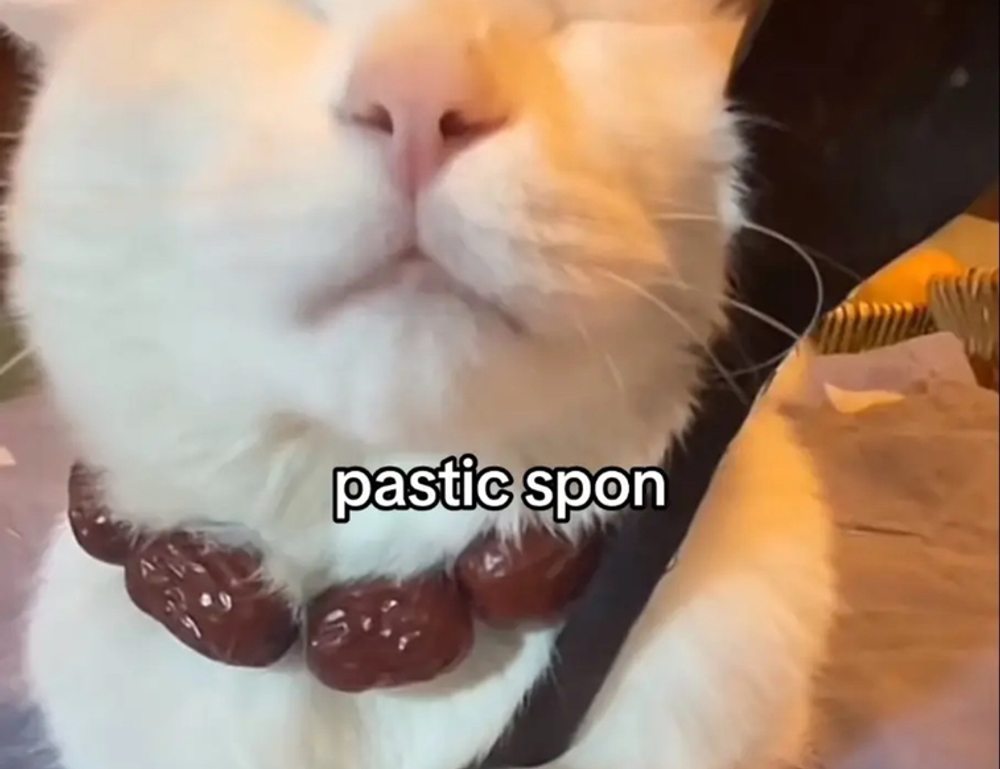 shmgdiet diet hacks from springhillmedgroup