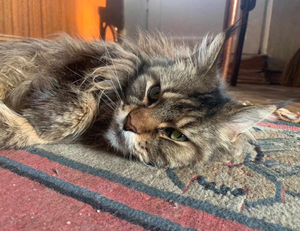 sisterhood activity ideas ewmagwork