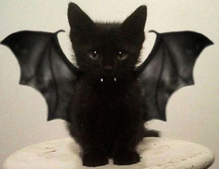 sports guide tweeklynutrition