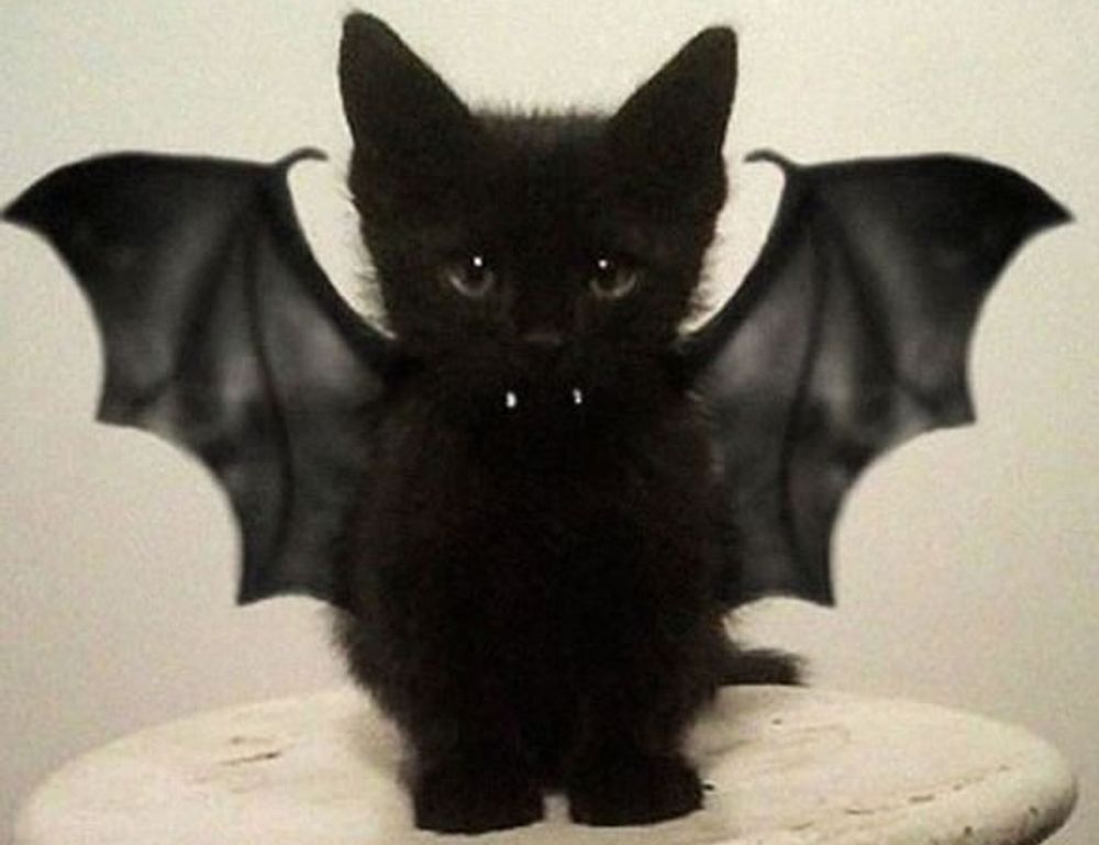 sports guide tweeklynutrition