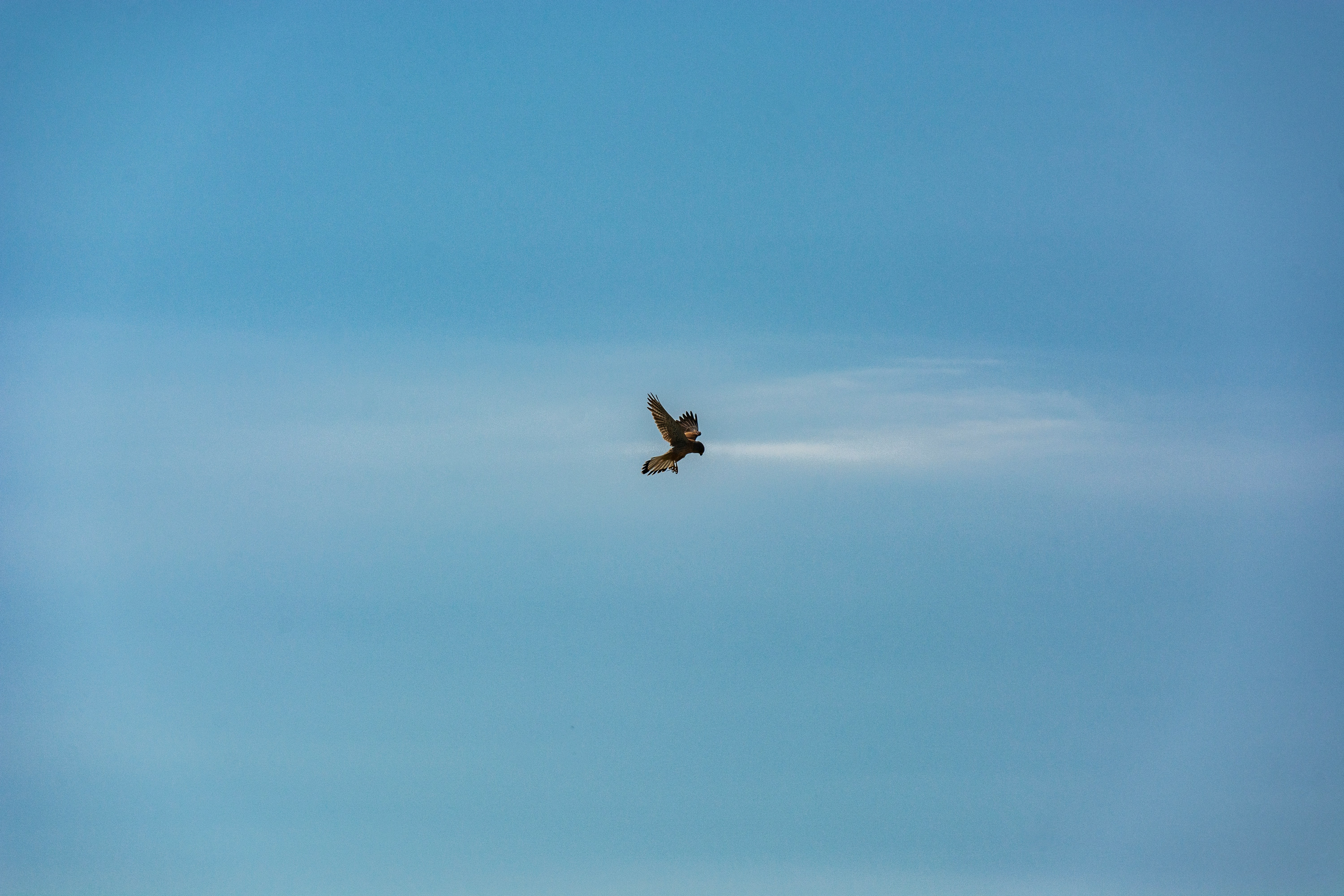 streamlined strategy