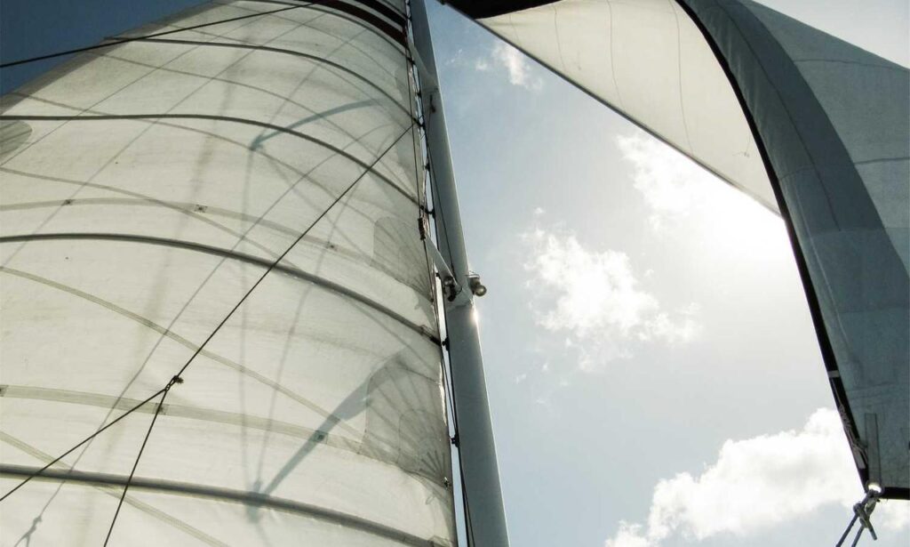 supplementing tips tweeklynutrition