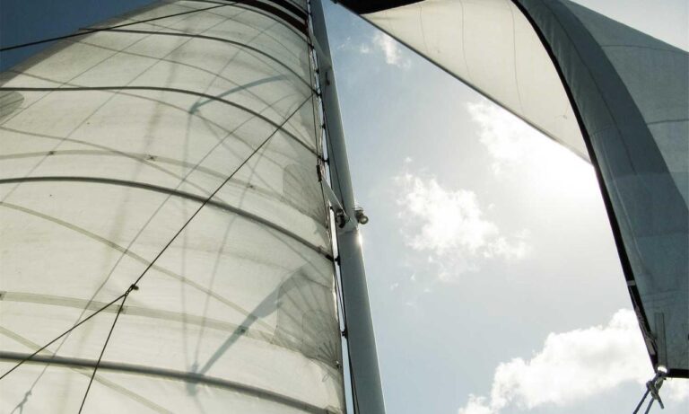 supplementing tips tweeklynutrition