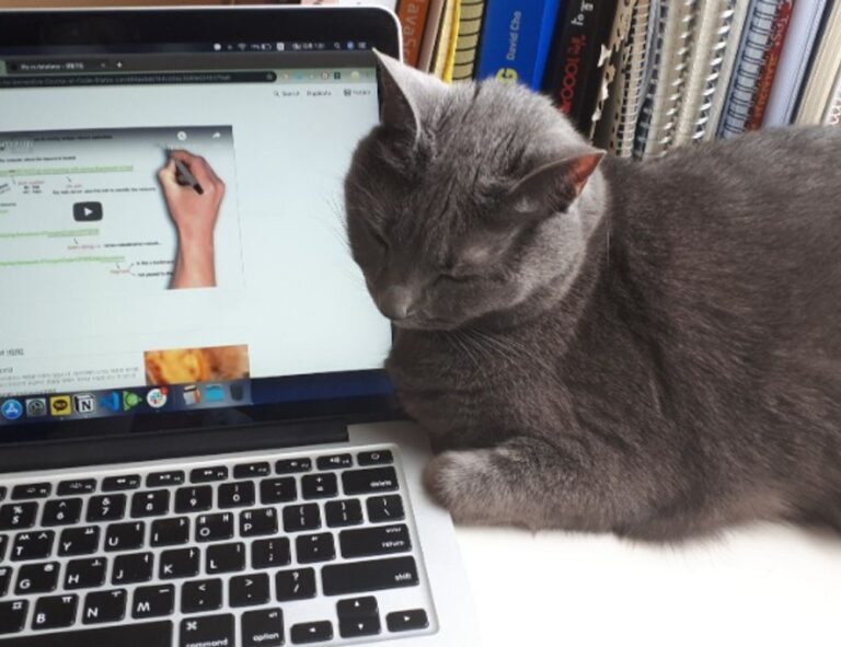 tadicurange diseases problems