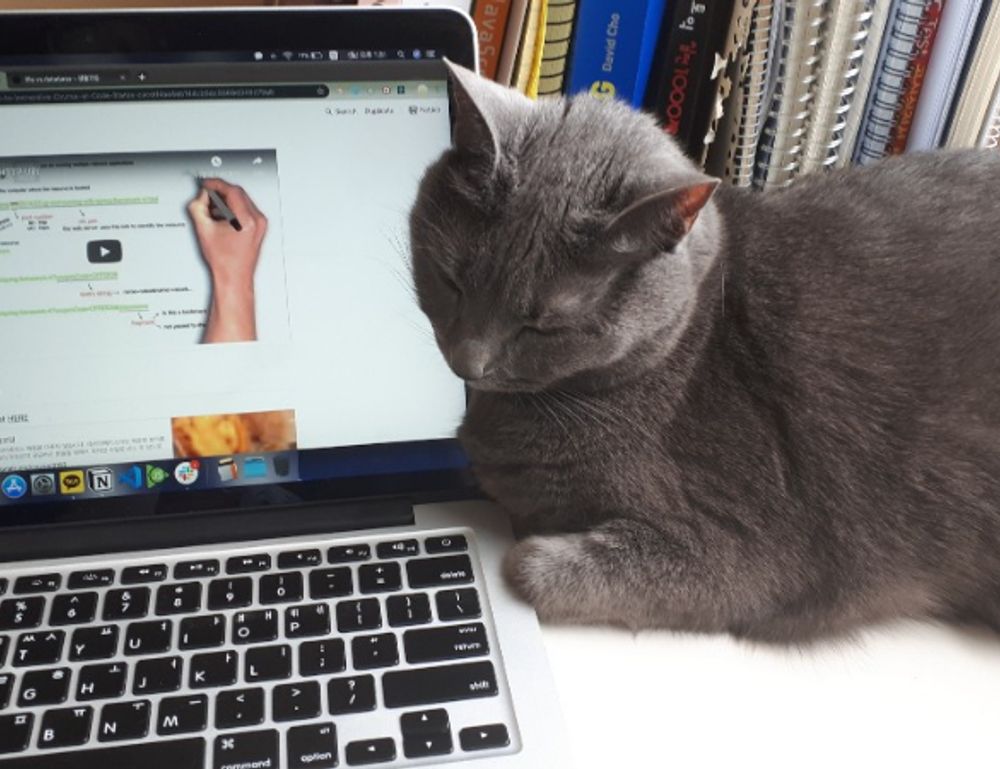 tadicurange diseases problems