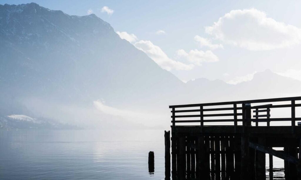 the power of activism ewmagwork