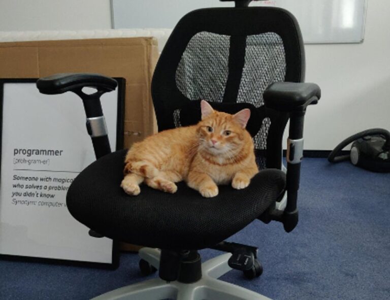 what is pilates workout ewmagwork