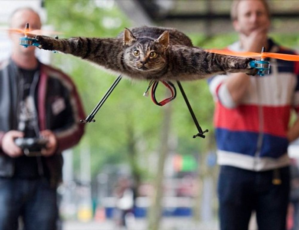 which diet to lose belly fat shmgdiet