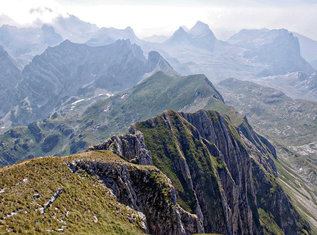 Beyond the Scoreboard: Key Features You Shouldn't Miss