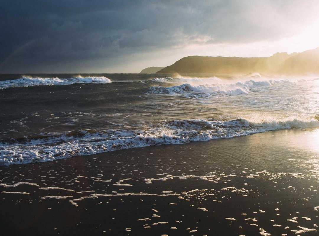 Top Picks: Best Air Hawk Pro Models at Bunnings