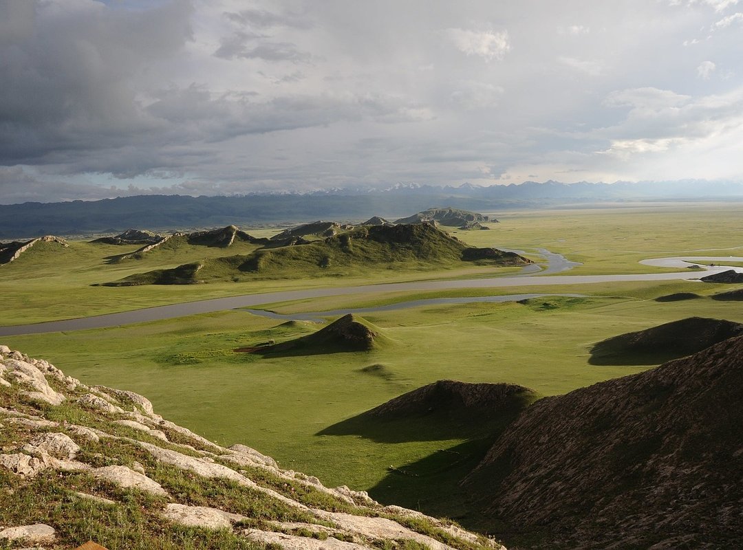 How to Find and Watch Palestinian Anime