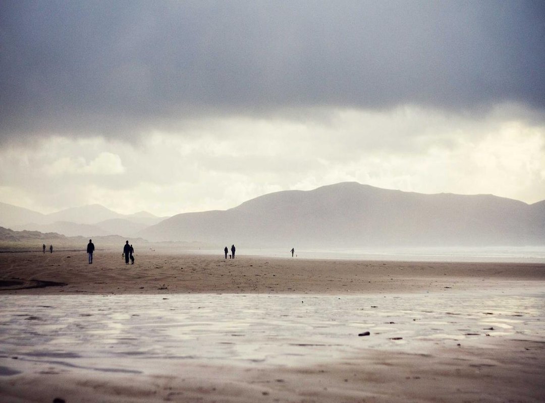 Your Action Plan: 4 Things to Do When You See 1155