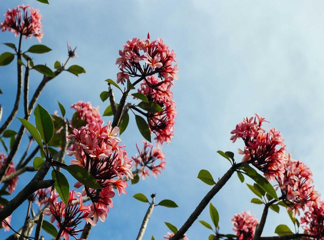 How to Pose: Angles and Techniques for the Perfect Shot