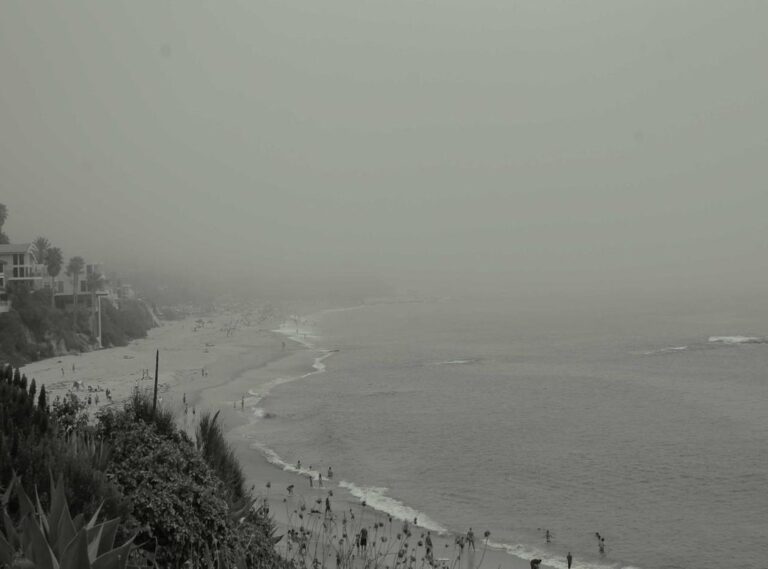 inlocuitor piracetam