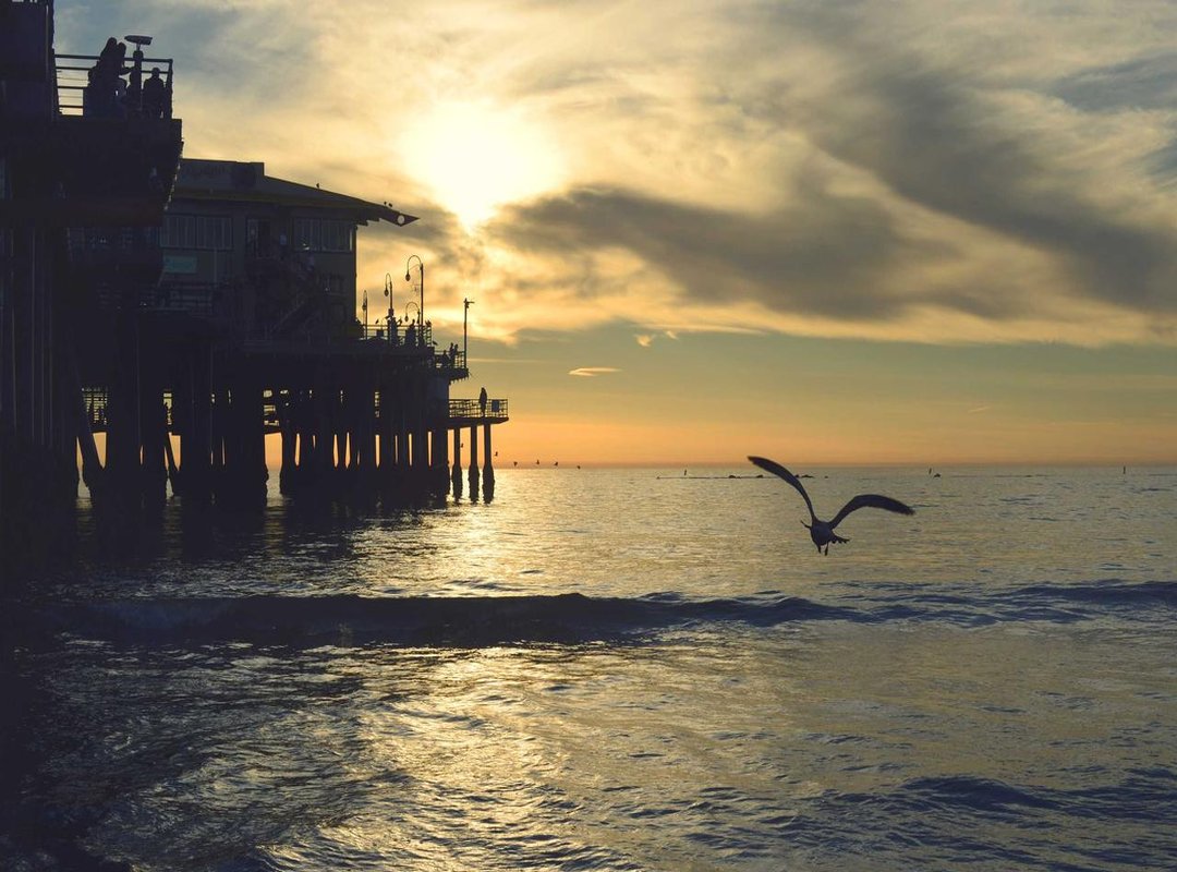 Designing for the Body: How to Make Your Tattoo Fit Your Thigh