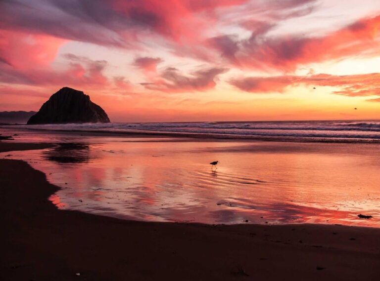 michael schulte x r3hab - waterfall - album art