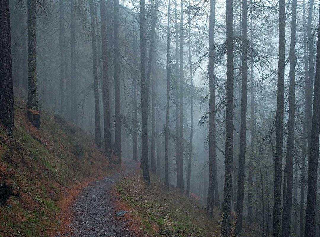 A Practical Guide: How to Add a Name to a Casket