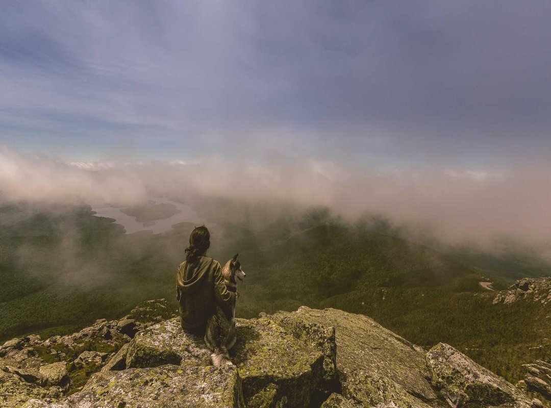 Our Top Picks: The Best 'Pimenta Calabresa' for Every Dish