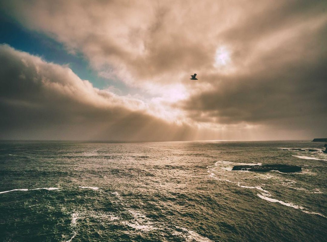 Pay-Per-Clip vs. Monthly Subscription: Which Model is Right for You?