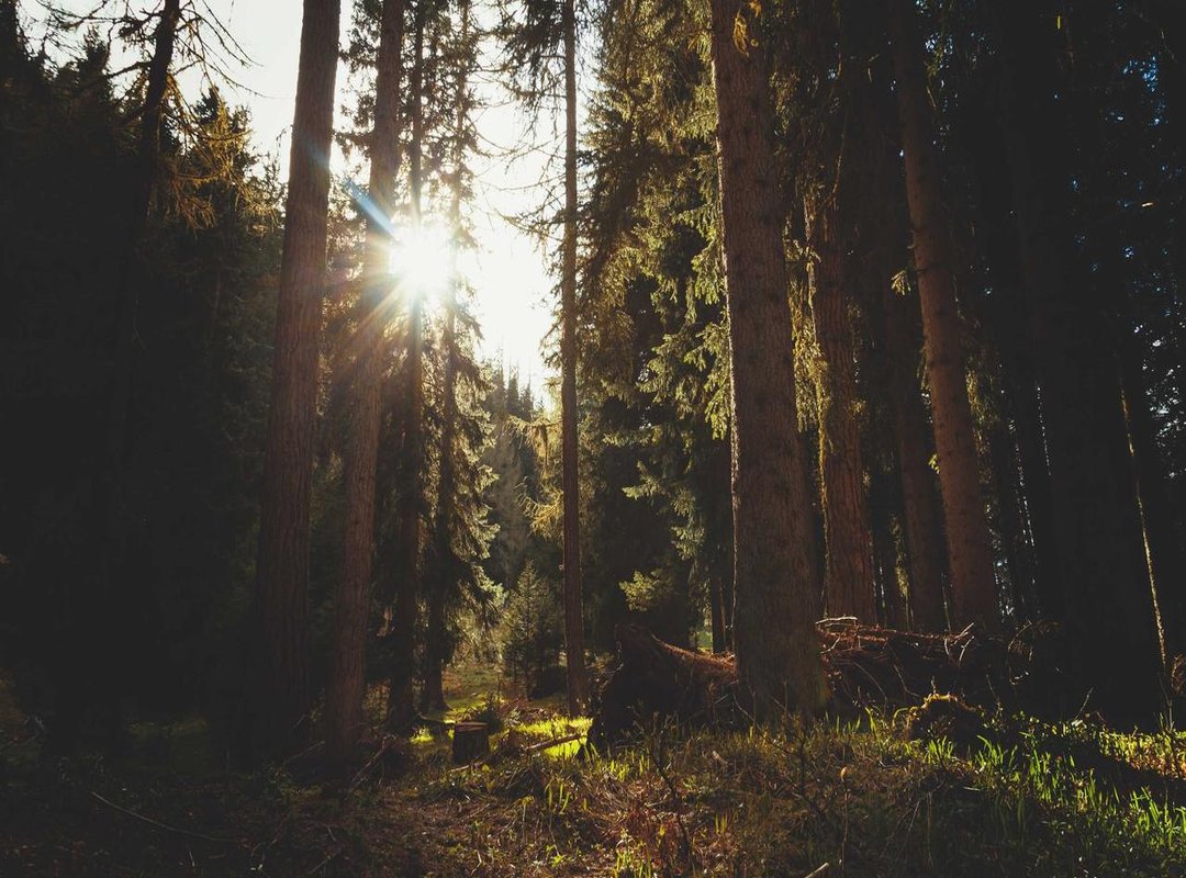 From TV Star to Movie Maverick: Her Defining 90s Roles